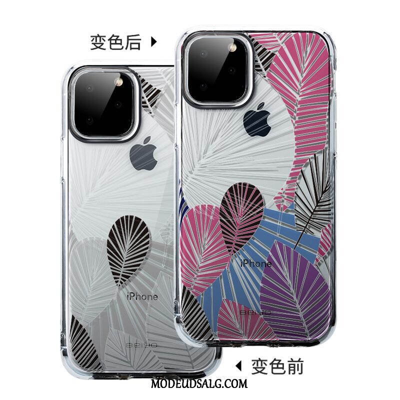 iPhone 11 Pro Etui Cover Gennemsigtig Anti-fald High End Trendy