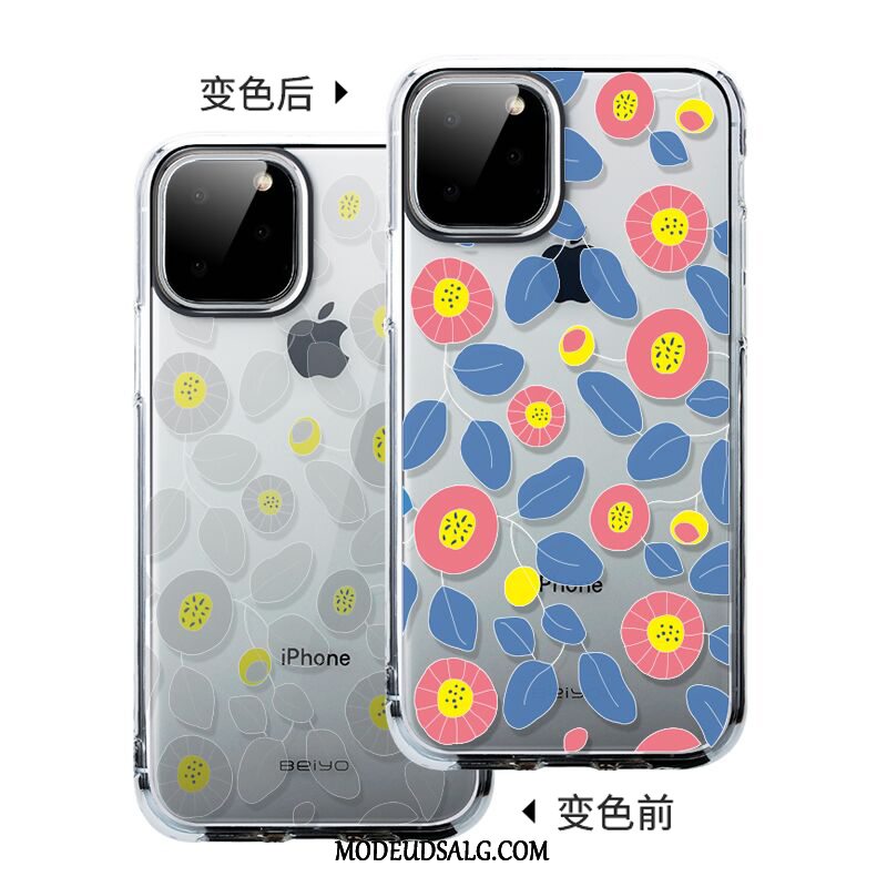 iPhone 11 Pro Etui Cover Gennemsigtig Anti-fald High End Trendy