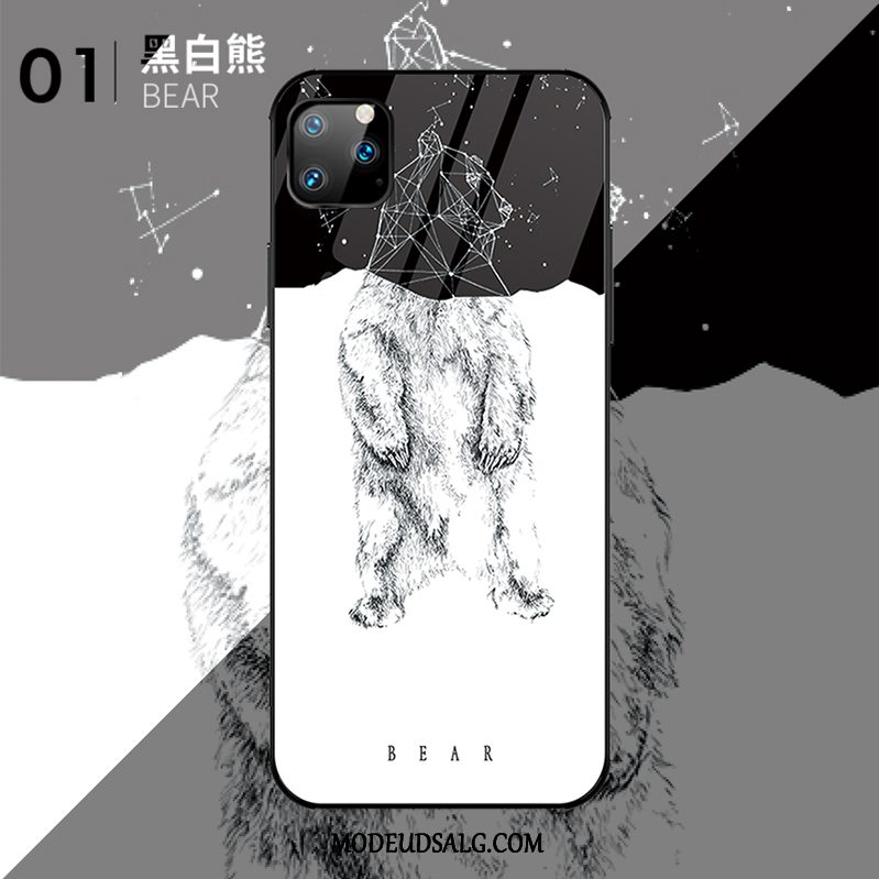 iPhone 11 Pro Max Etui Anti-fald Ny Alt Inklusive Trendy High End