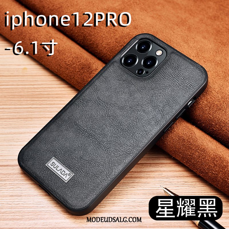 iPhone 12 Pro Etui Beskyttelse Mønster High End Nubuck Herre