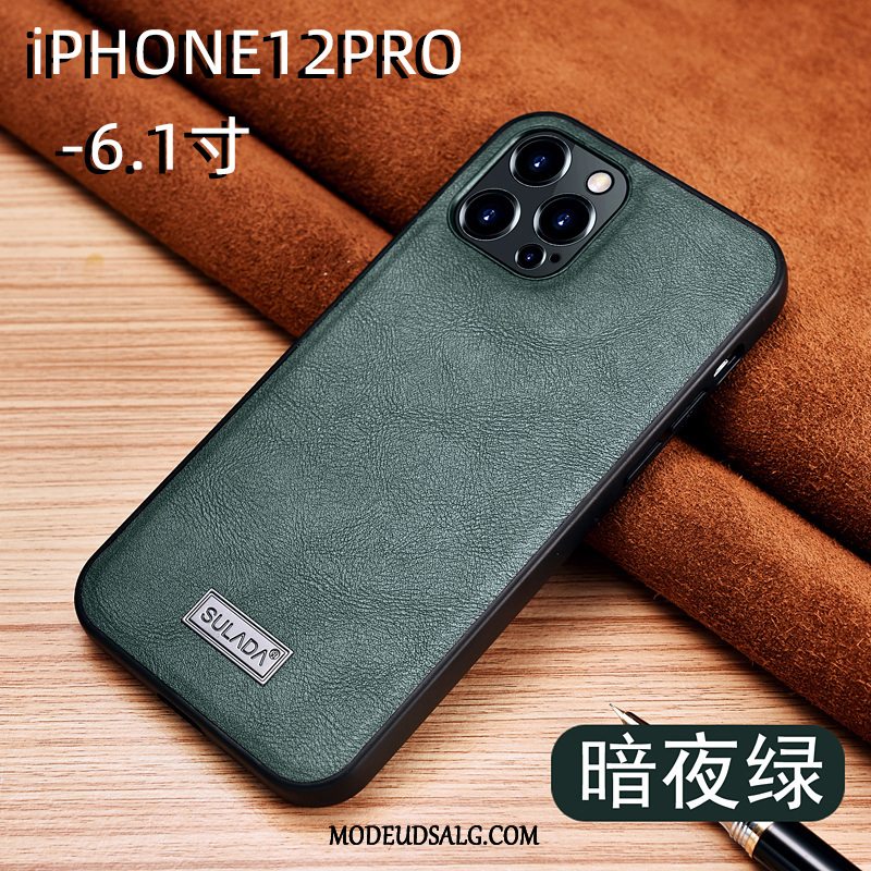 iPhone 12 Pro Etui Beskyttelse Mønster High End Nubuck Herre