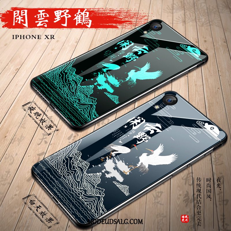 iPhone Xr Etui Alt Inklusive Kreativ Af Personlighed Beskyttelse Spejl