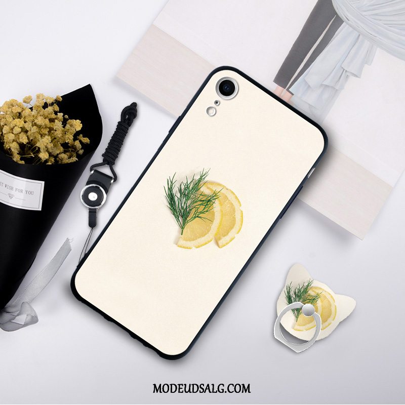 iPhone Xr Etui Trendy Ny Hærdning Cover Cartoon