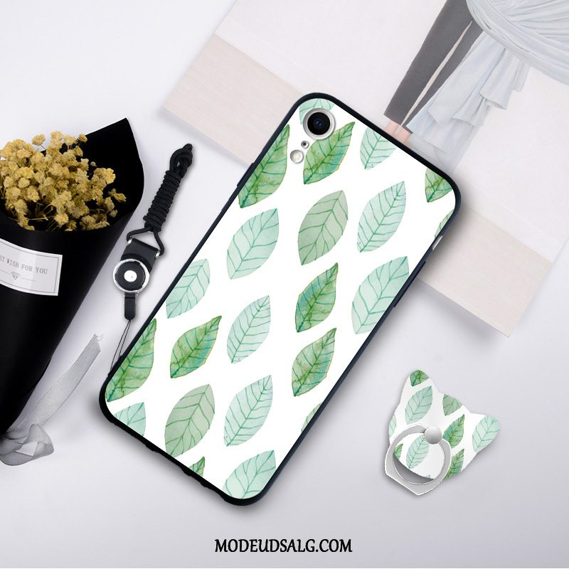 iPhone Xr Etui Trendy Ny Hærdning Cover Cartoon