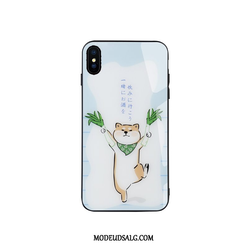 iPhone Xs Etui Glas Hund Spejl Hvid Kreativ