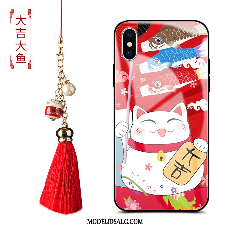 iPhone Xs Etui Silikone Joyous Glas Cartoon Kat