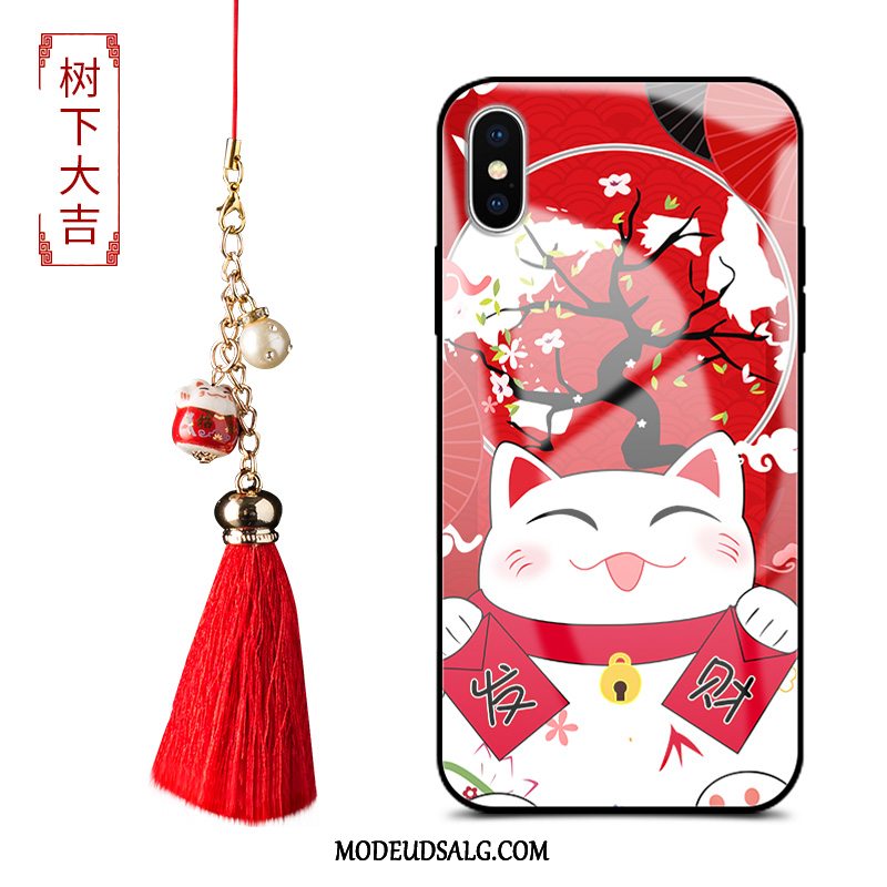 iPhone Xs Etui Silikone Joyous Glas Cartoon Kat