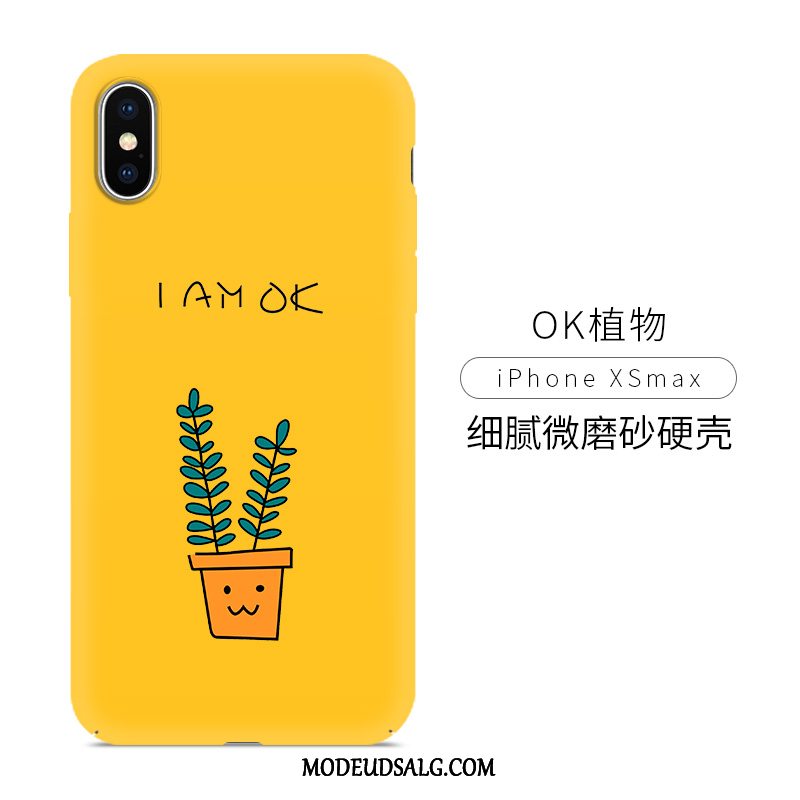 iPhone Xs Max Etui Af Personlighed Alt Inklusive Simple Trend Frisk