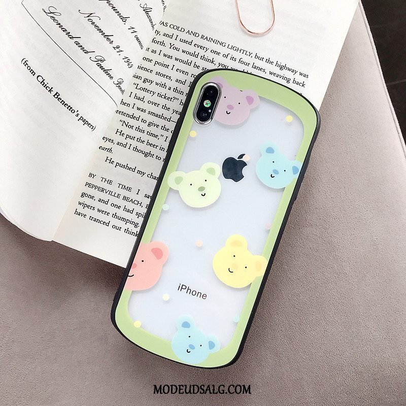 iPhone Xs Max Etui Bjørn Cartoon Grøn Lille Sektion Glas