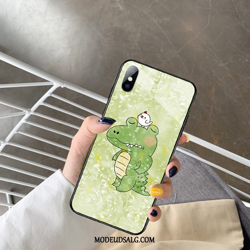 iPhone Xs Max Etui / Cover Glas Smuk Hård Hvid Ny