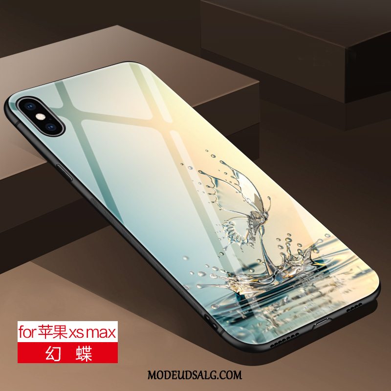 iPhone Xs Max Etui Glas Beskyttelse Anti-fald Cover Blå