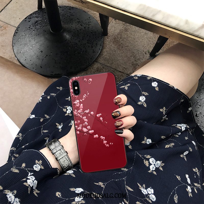 iPhone Xs Max Etui Ny Cover Net Red Glas Alt Inklusive