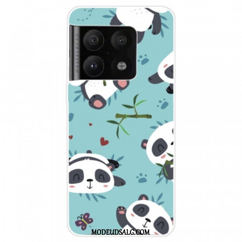 Cover OnePlus 10 Pro 5G Flok Pandaer