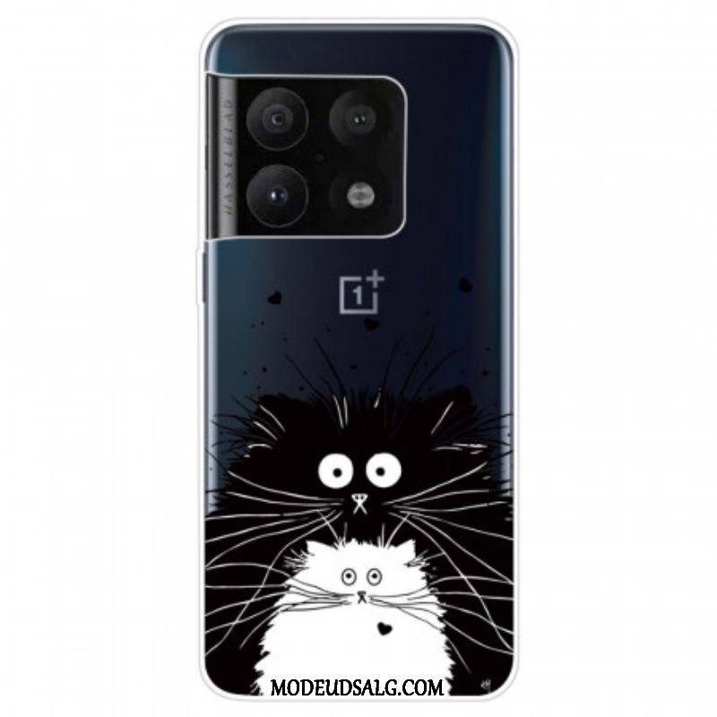 Cover OnePlus 10 Pro 5G Overraskede Katte