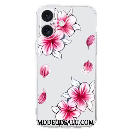 Cover Til iPhone 16 Plus Kirsebærblomster