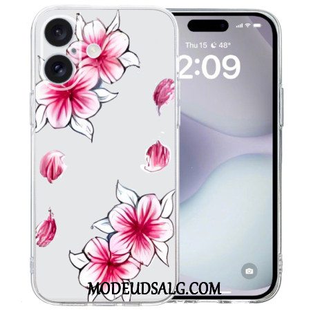 Cover Til iPhone 16 Transparent Edge Cherry Blossom