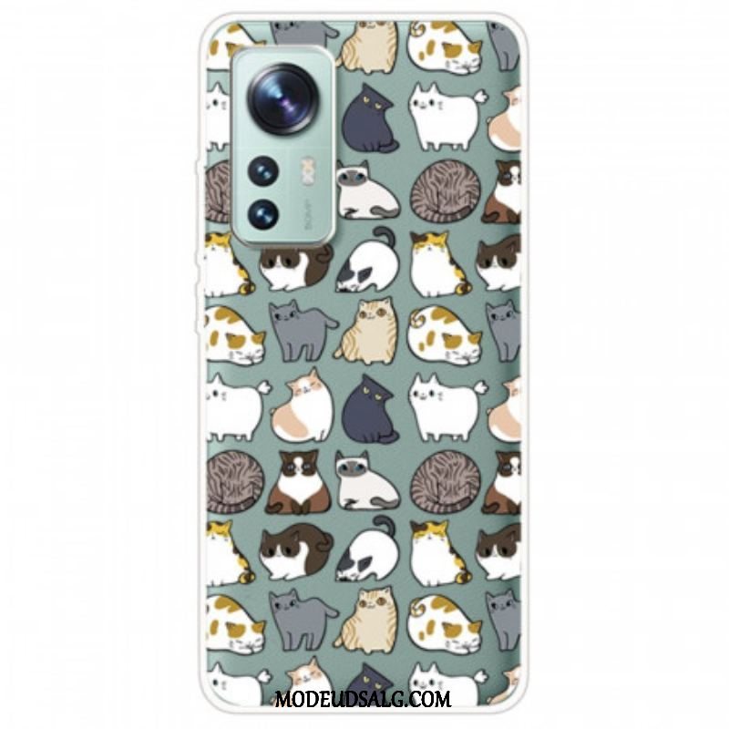 Cover Xiaomi 12 / 12X Topkatte