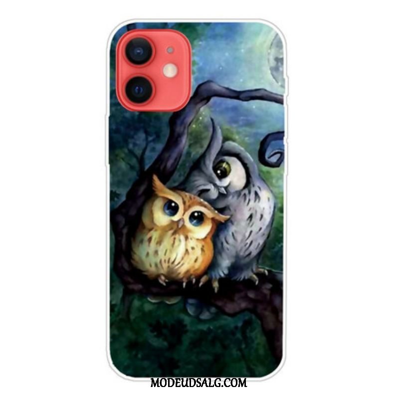 Cover iPhone 13 Mini Maler Ugler