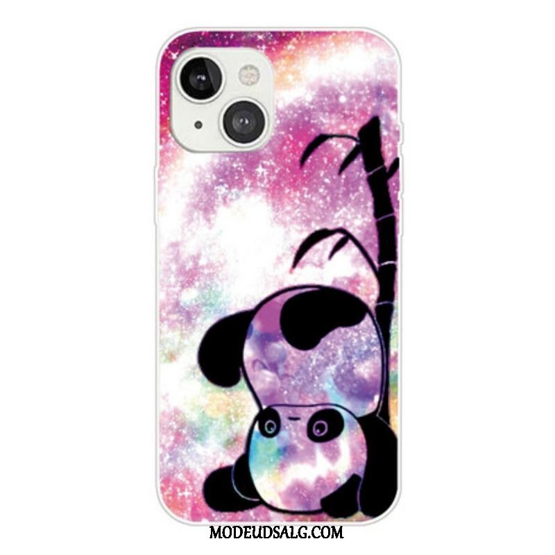 Cover iPhone 13 Mini Panda Og Bambus