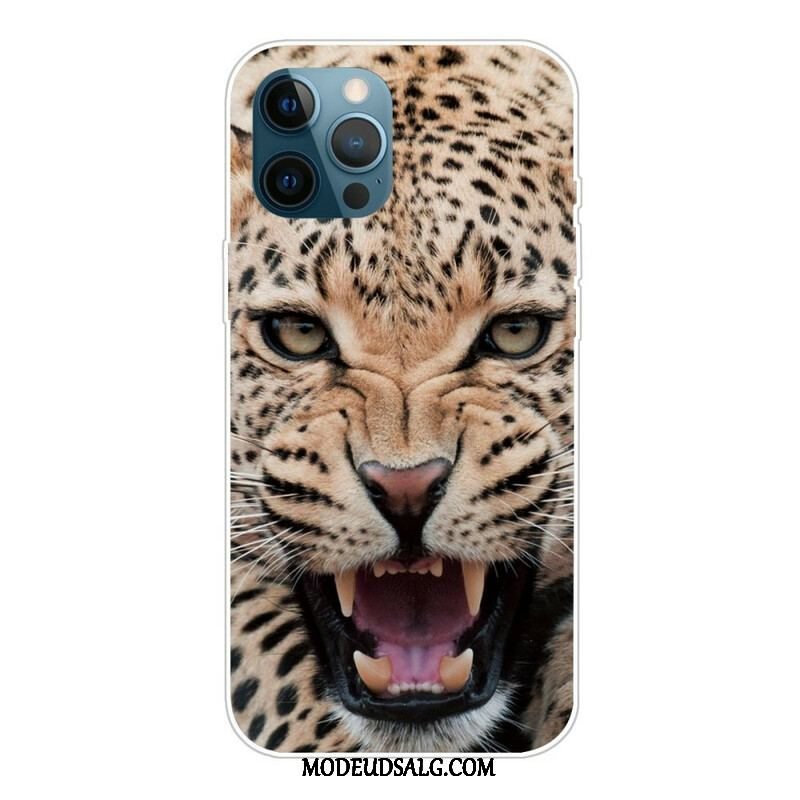 Cover iPhone 13 Pro Fantastisk Feline