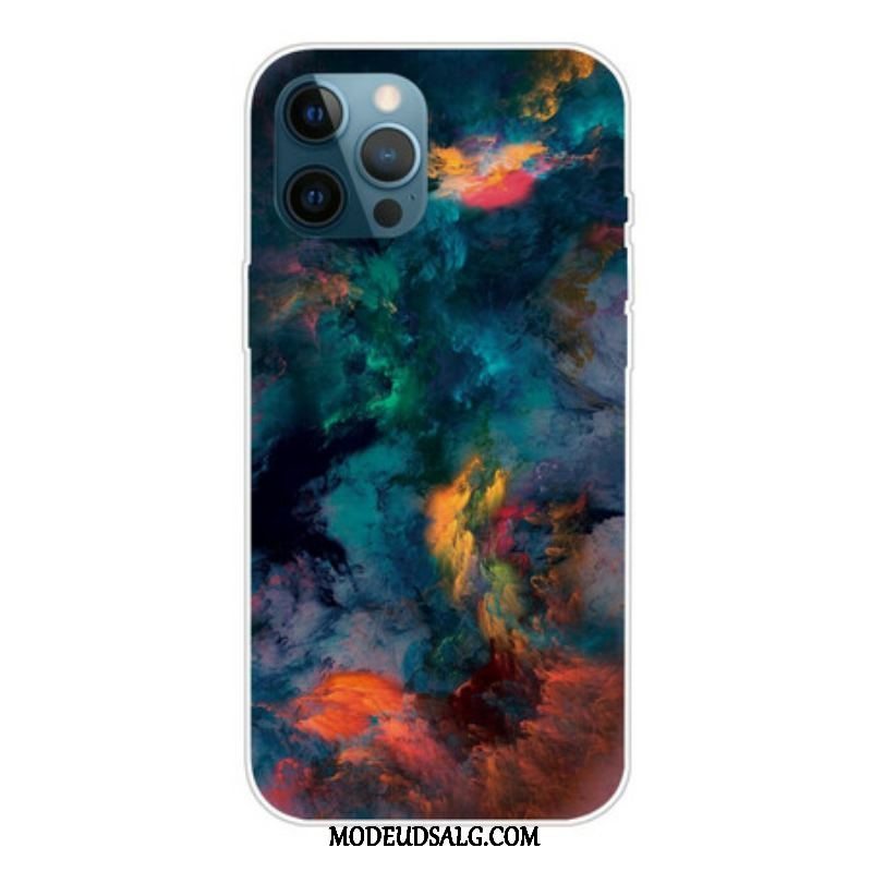 Cover iPhone 13 Pro Farverige Skyer