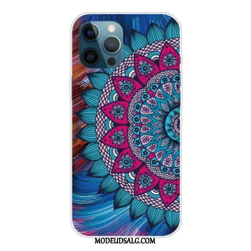 Cover iPhone 13 Pro Max Farverig Mandala