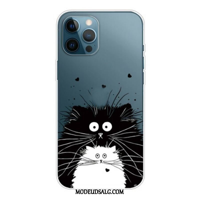 Cover iPhone 13 Pro Max Se På Kattene