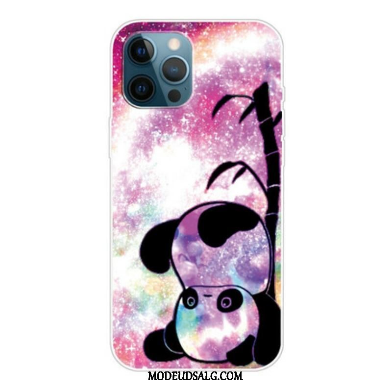 Cover iPhone 13 Pro Panda Og Bambus