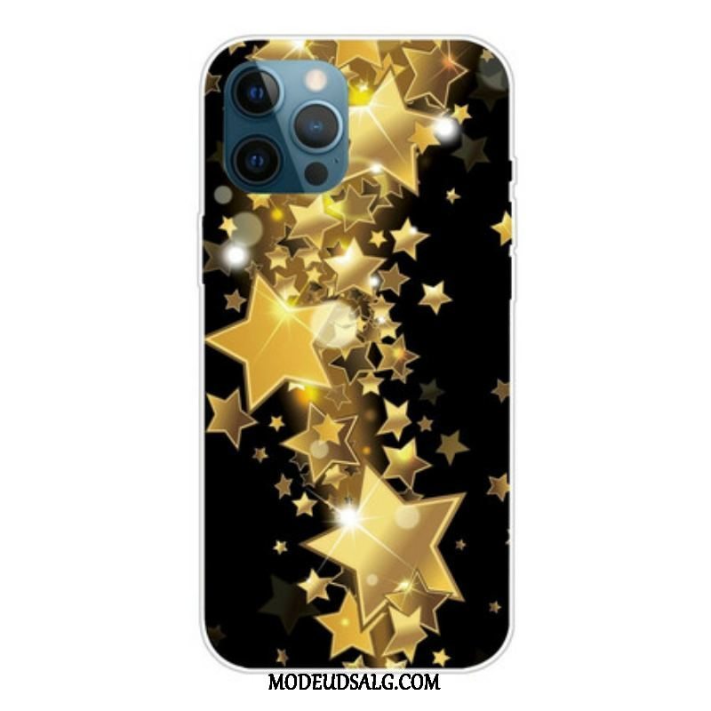 Cover iPhone 13 Pro Stjerner