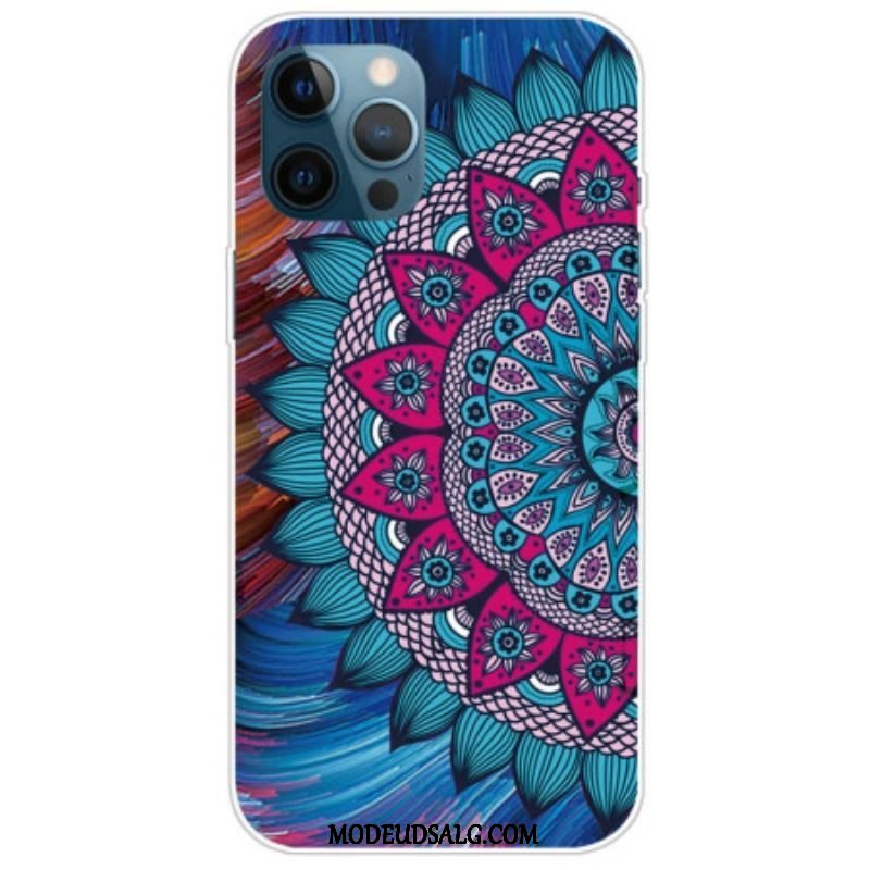 Cover iPhone 14 Pro Farverig Mandala