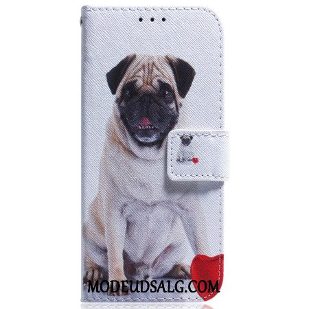 Flip Cover Motorola Edge 50 Fusion Mops Hund