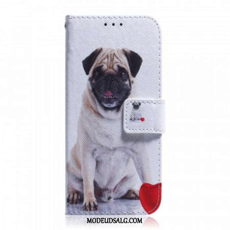 Flip Cover OnePlus 10 Pro 5G Mops Hund