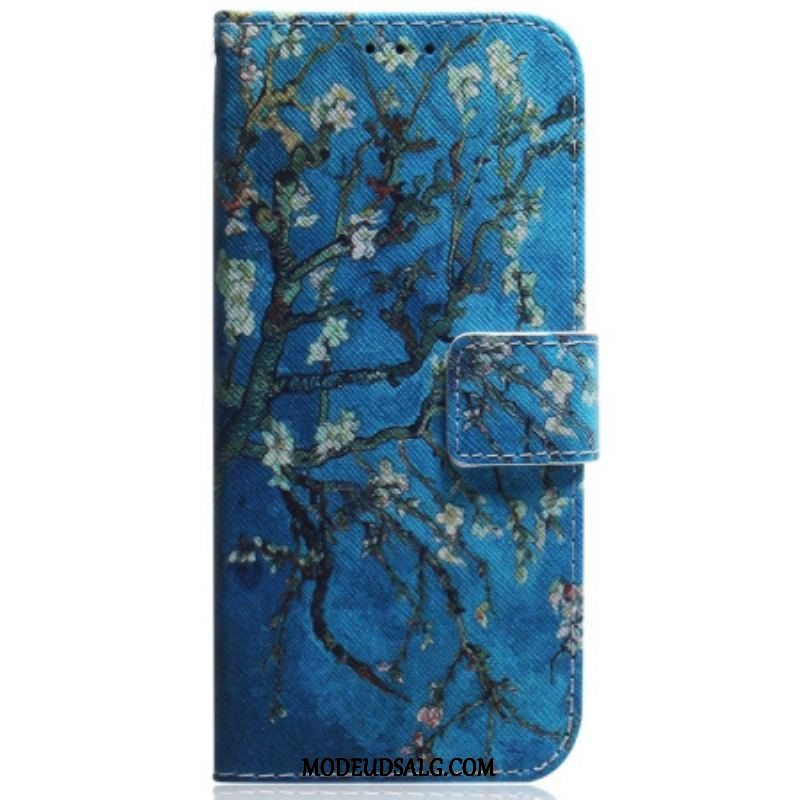 Flip Cover Samsung Galaxy M13 Blomstrende Grene