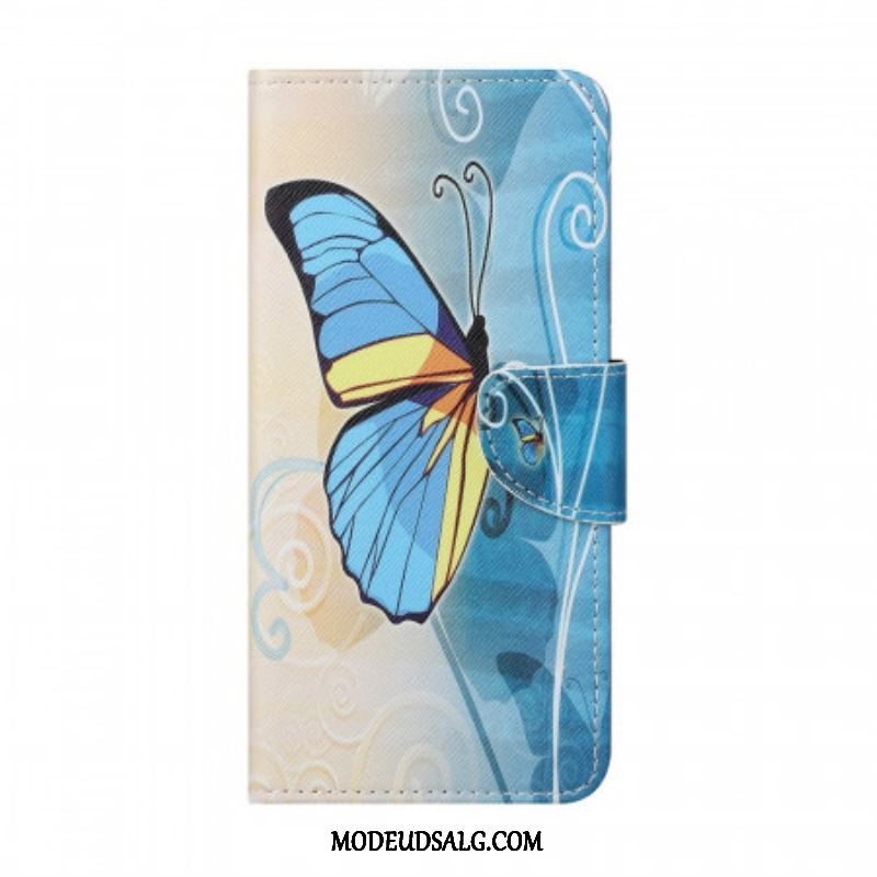 Flip Cover Samsung Galaxy M23 5G Kongelig Sommerfugl