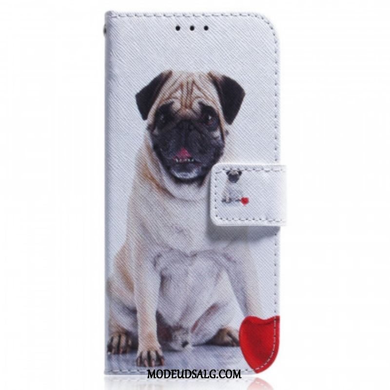 Flip Cover Samsung Galaxy M33 5G Mops Hund