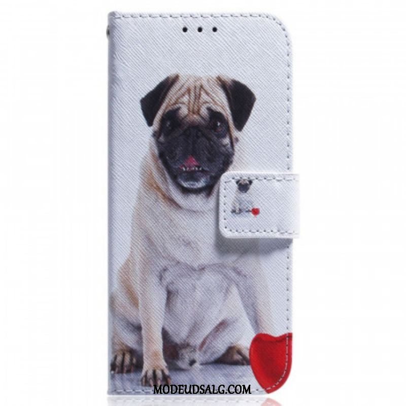 Flip Cover Samsung Galaxy M53 5G Mops Hund