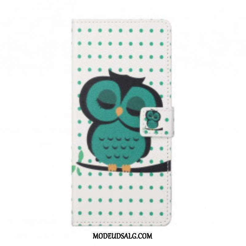 Flip Cover Xiaomi Redmi Note 10 Pro Sovende Ugle