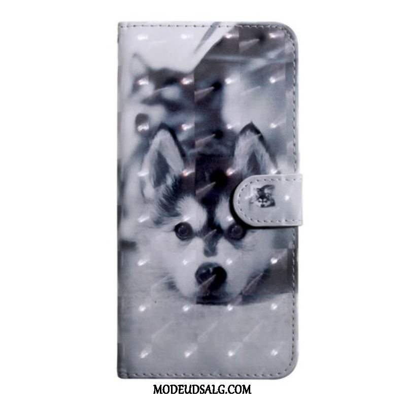 Flip Cover iPhone 13 Mini Lys Spot Hunden Gustave