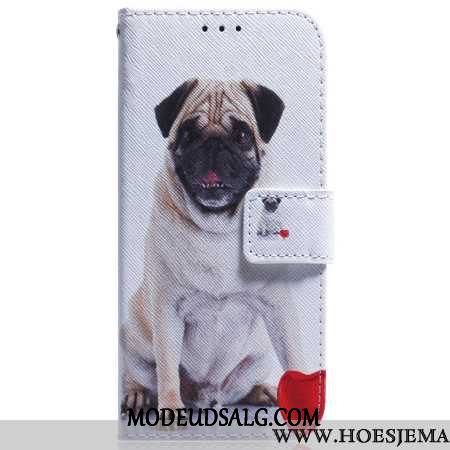 Samsung Galaxy A55 5g Mops Hund