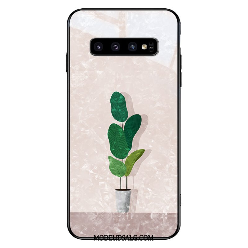 Samsung Galaxy S10+ Etui / Cover Silikone Trend Simple Hård Kreativ