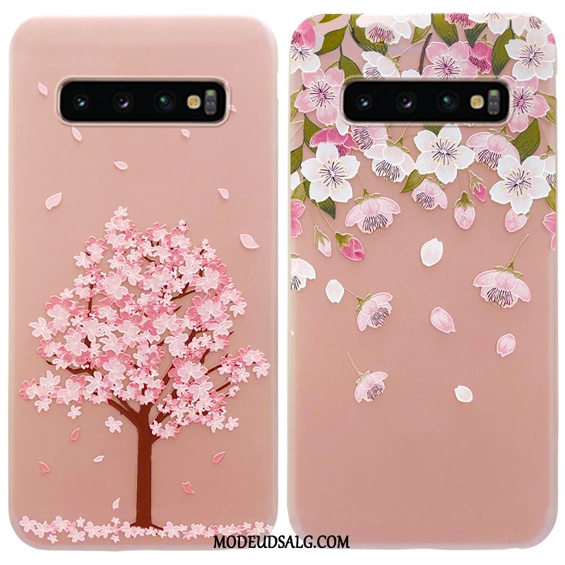 Samsung Galaxy S10+ Etui Gennemsigtig Kreativ Nubuck Silikone Blød