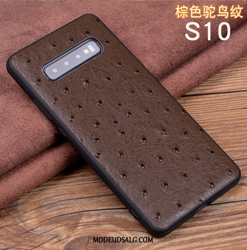 Samsung Galaxy S10 Etui Silikone Blød Krokodille Mønster High End Anti-fald