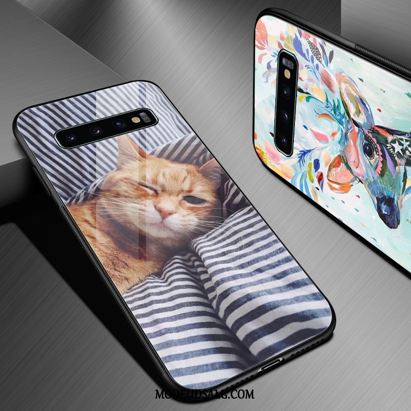 Samsung Galaxy S10+ Etui Trend Anti-fald Kat Smuk Blå