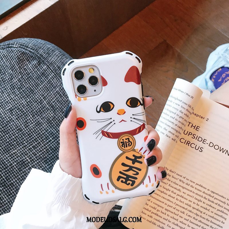 iPhone 11 Pro Max Etui / Cover Trend Ny Wealth Kat Hvid