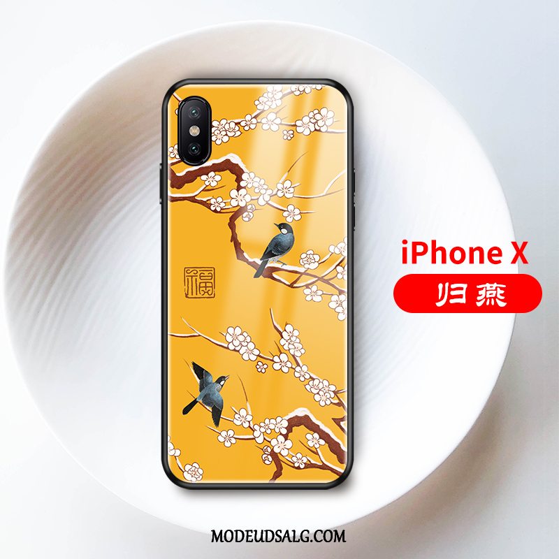 iPhone X Etui / Cover Blød Lyse Gul Glas Alt Inklusive